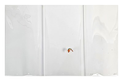 Lot 84 - The Beatles 1968 Yellow Submarine Butterfly Animation Cels (UK)
